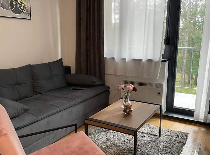 Апартаменты Istra_28 Titova Златибор